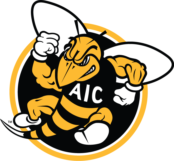 AIC Yellow Jackets 2009-Pres Alternate Logo v2 iron on transfers for fabric